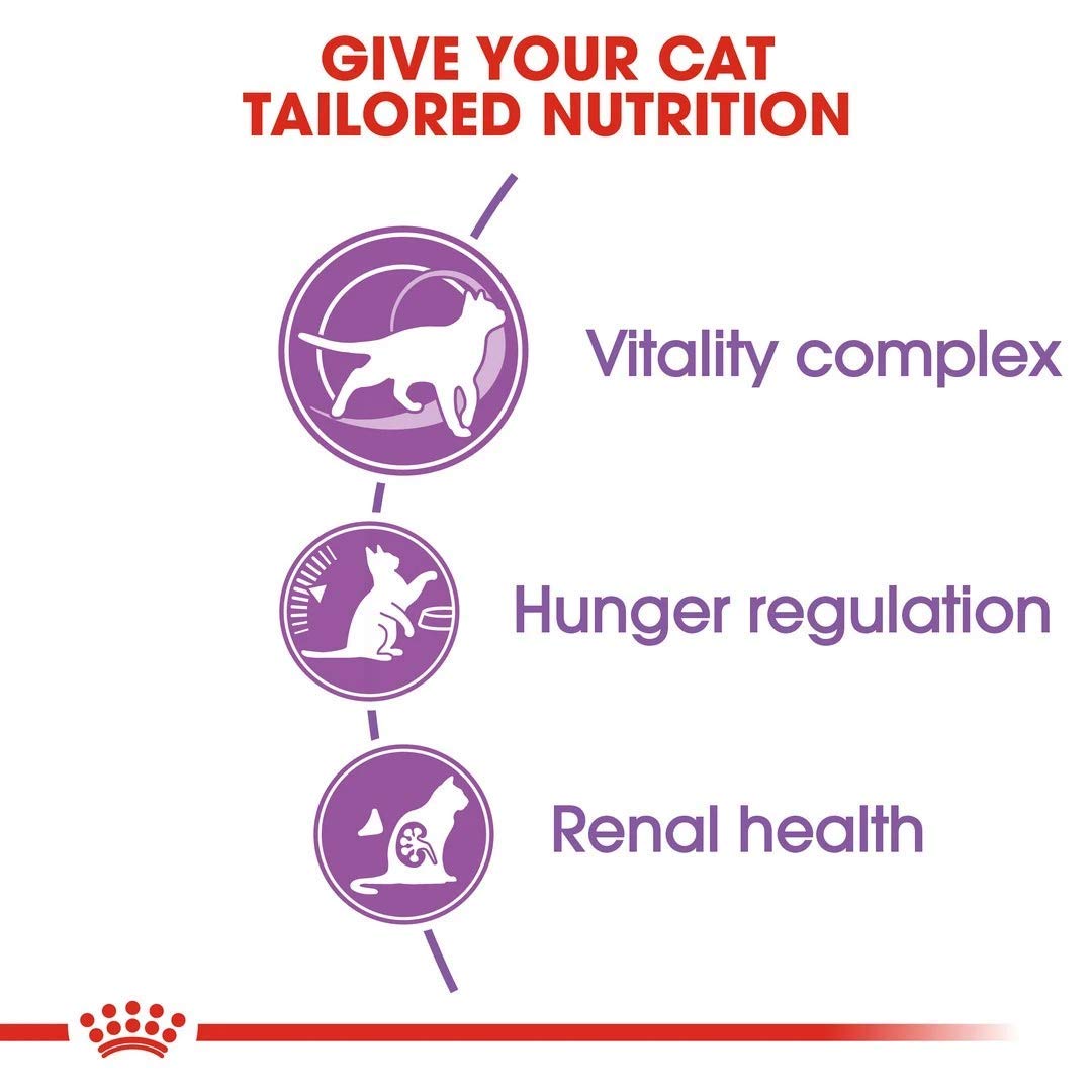 Royal Canin Feline Sterilised +7 Appetite Control, 1er Pack (1 x 3,5 kg) | 1er Pack