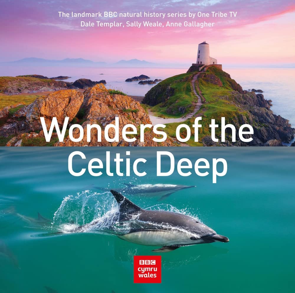Wonders of the Celtic Deep-Dale Templar,Sally Weale,Anne Gallagh