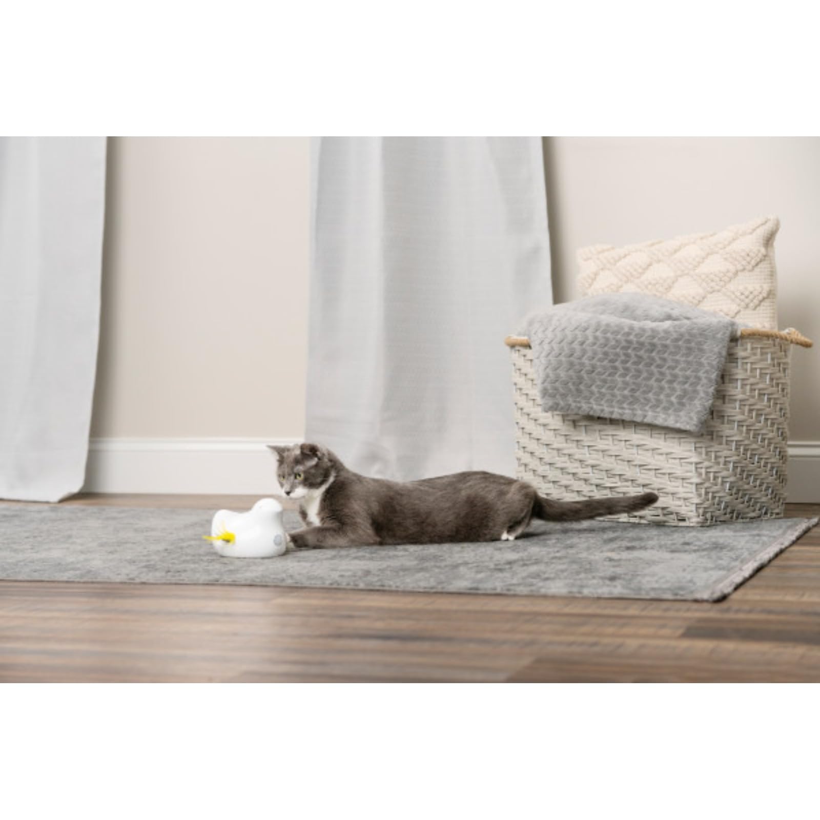 PetSafe Gioco Elettronico per Gatti Peek-A-Bird