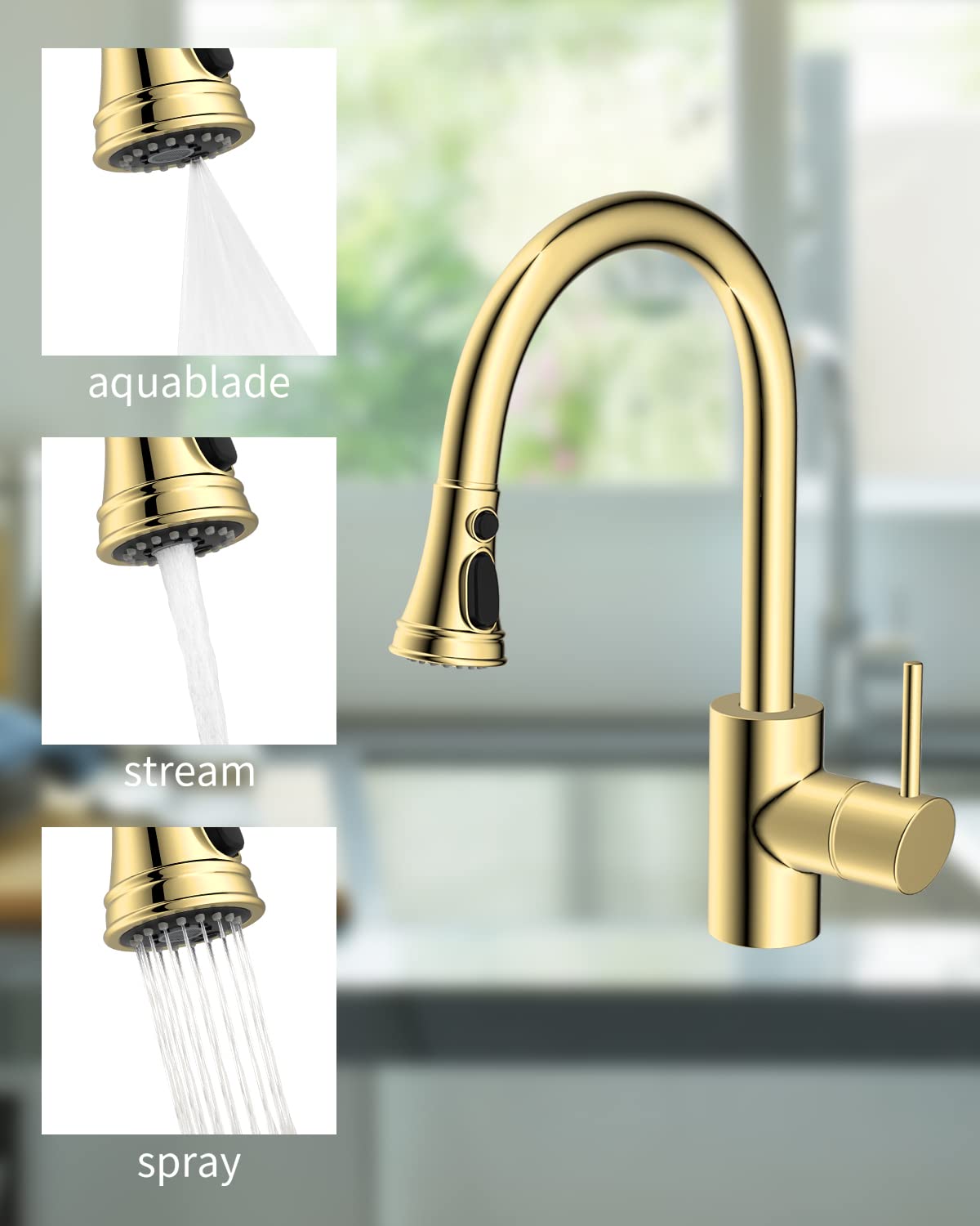 https://m.media-amazon.com/images/I/61v-lF6zowL.jpg
