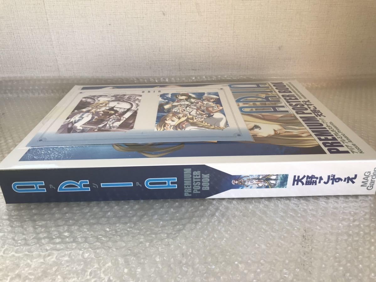 Amazon.co.jp: ARIA プレミアムポスターブック 天野こずえ : 楽器