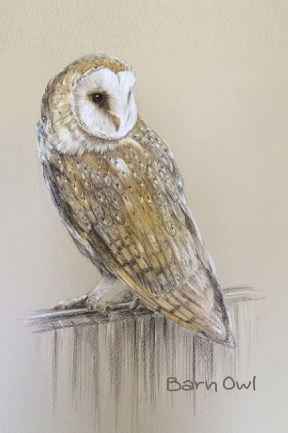 Notebook: Barn Owl Notebook Wide Ruled 6 x 9"