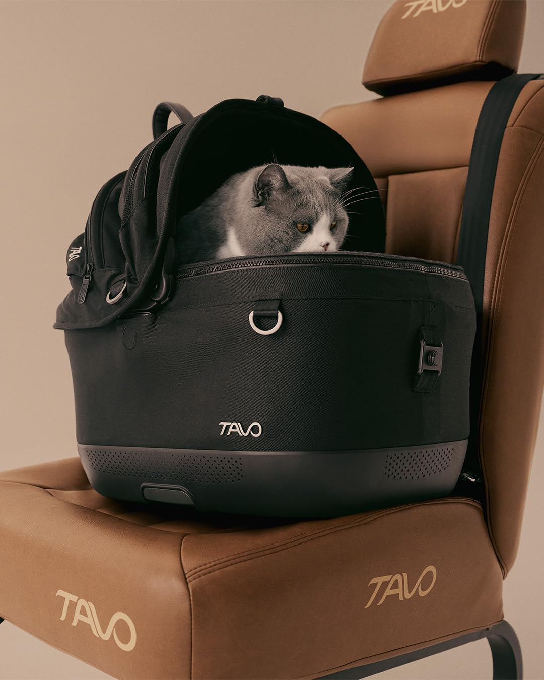 Amazon.co.jp: 【ペットカート＆カーシート】TAVO Maeve iso
