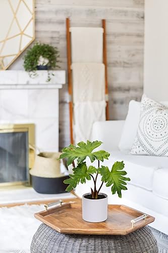 Miniatura 4 de Plantas artificiales en maceta de 12 pulgadas, plantas sintéticas filodendro selloum en macetas de cerámica negra para oficina, escritorio, baño,