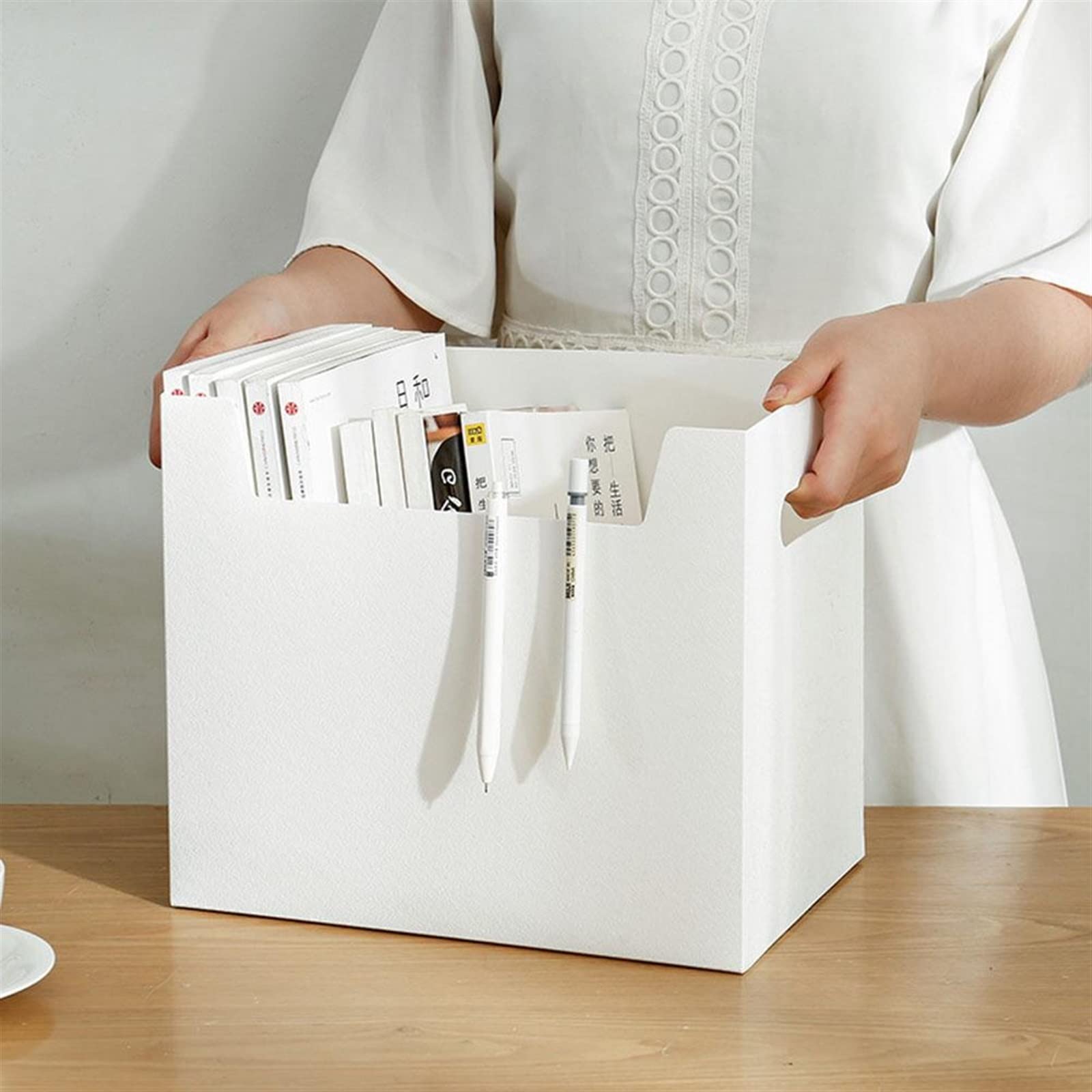 Aufbewahrungsboxen, Schreibtisch-Aktenbox, Weiß