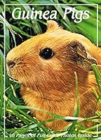 Guinea Pigs 0866229876 Book Cover