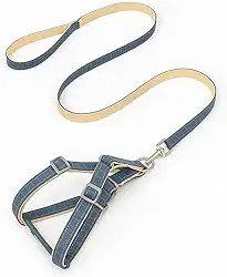 Coleira para cães com amortecedor de choque macia de dois tons