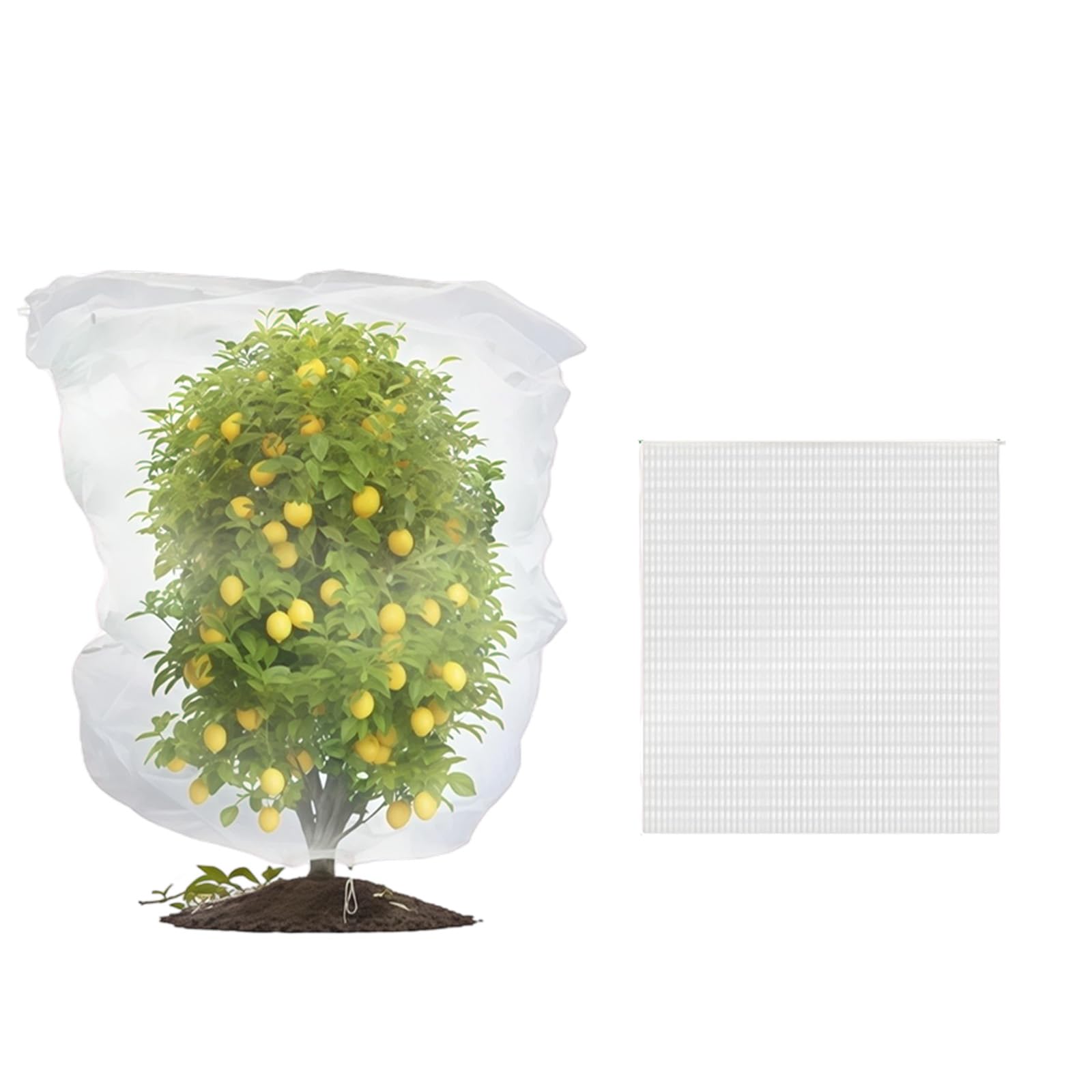 Xqmmgo 0.8X1m Fruit Tree Netting, Fine Mesh Bird Barrier With Drawstring, Large Plant Protection Cover For Blueberry Bush, Tomato, Strawberry, Breathable Garden Cage (0.8X1m)
