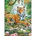 Bits and Pieces - Tiger on a Rock 1000 Piece Jigsaw Puzzles for Adults - Each Puzzle Measures 20" X 27" - 1000 pc Jigsaws by Artist Adrian Chesterman