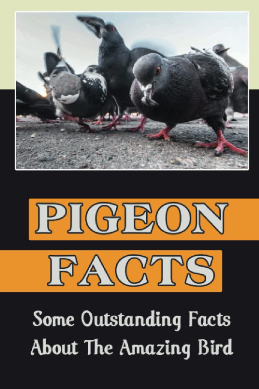 Pigeon Facts: Some Outstanding Facts About The Amazing Bird
