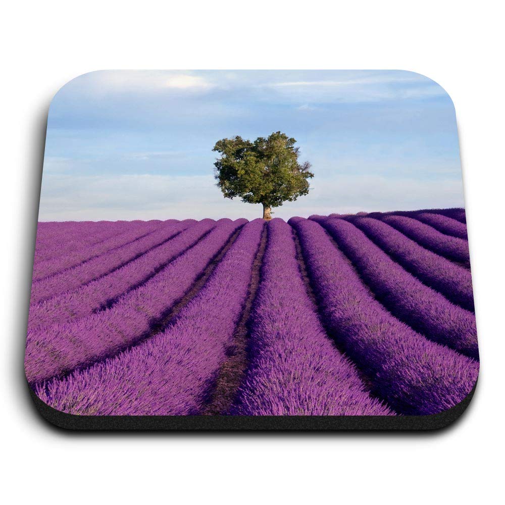 1 x Square MDF Fridge Magnet - Lavender Flower Field 15824