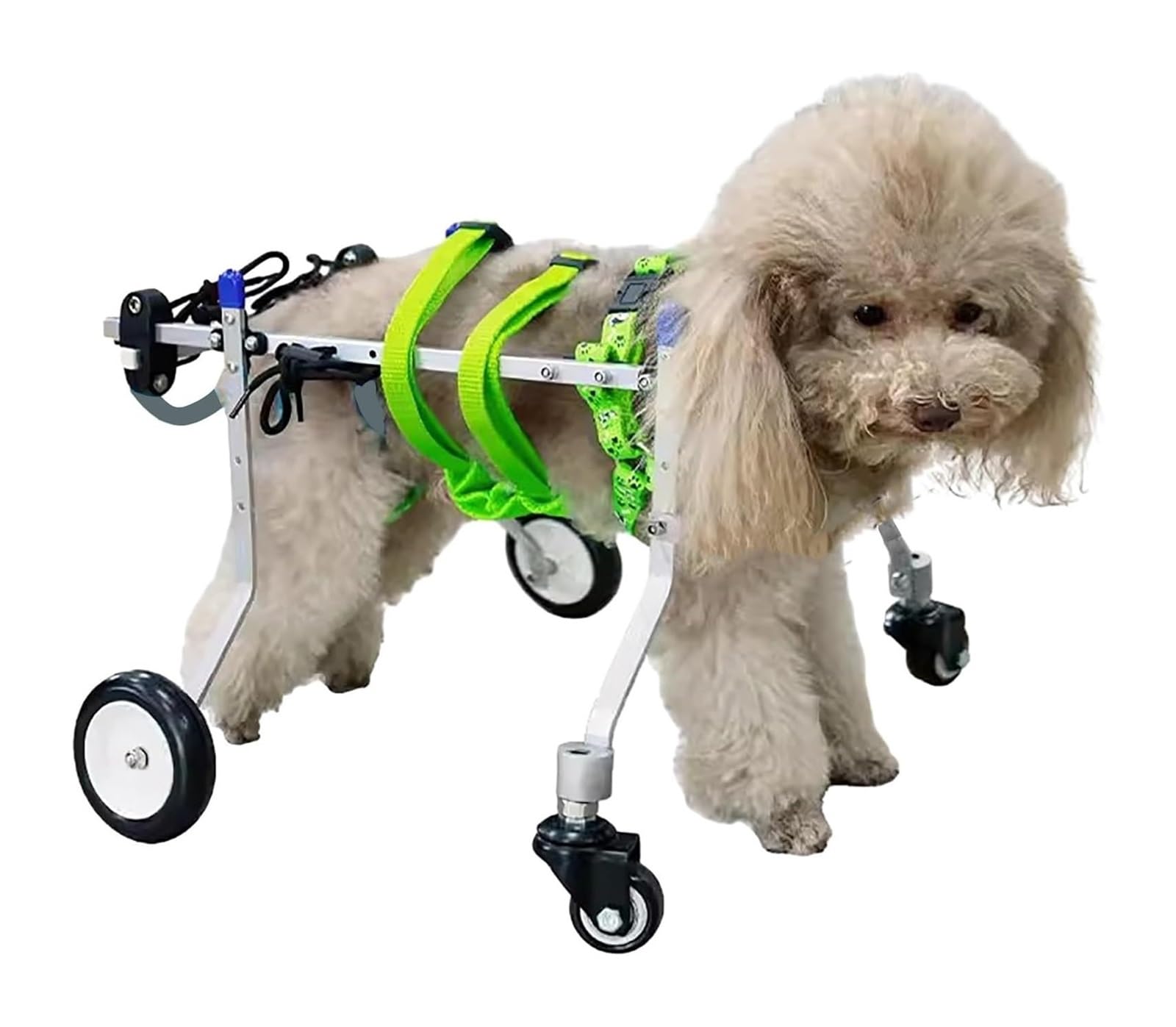 Fauteuil roulant pour chien aux pattes arrière avec roues ajustables