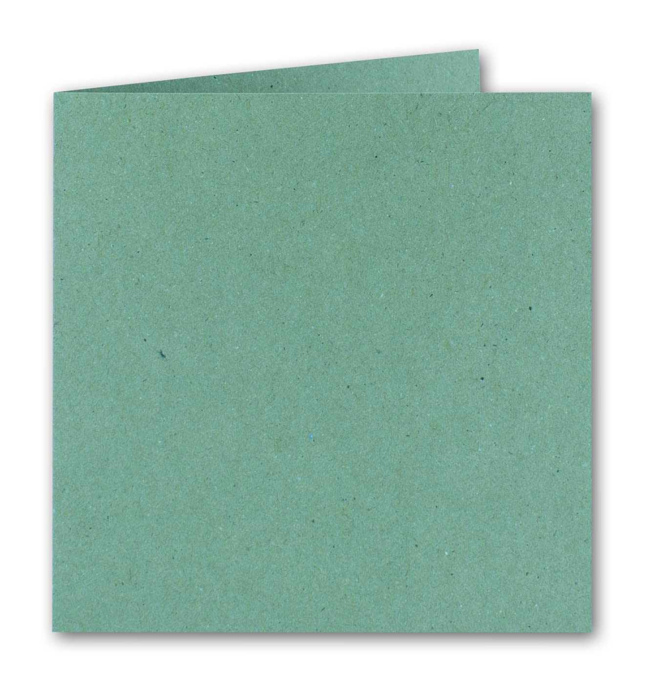Gustav Neuser Lot de 200 cartes pliables, carrées, en papier kraft, vert eucalyptus, carrées, 150 x 150 mm, 15 x 15 cm, recyclées, 220 g, vierges, durables