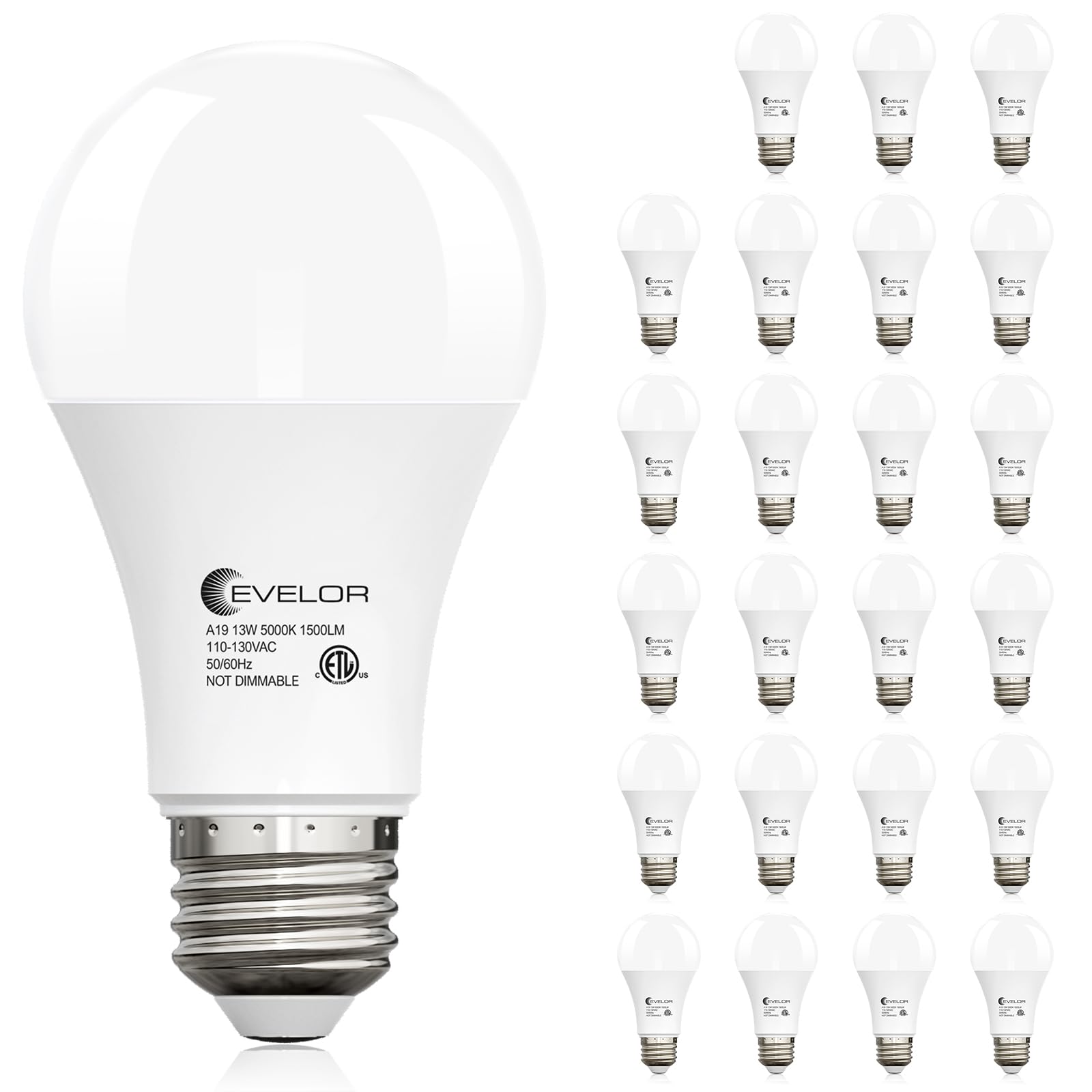 Evelor 24-Pack A19 LED Light Bulbs