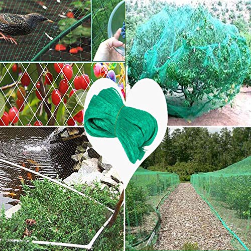 Bird Netting For Garden-Reusable Garden Netting-Protect Vegetable Plants And Fruit Trees-Plant Netting For Birds, Deer, Squirrels, And Other Animals(13X 40Ft) With Twine #TOP1