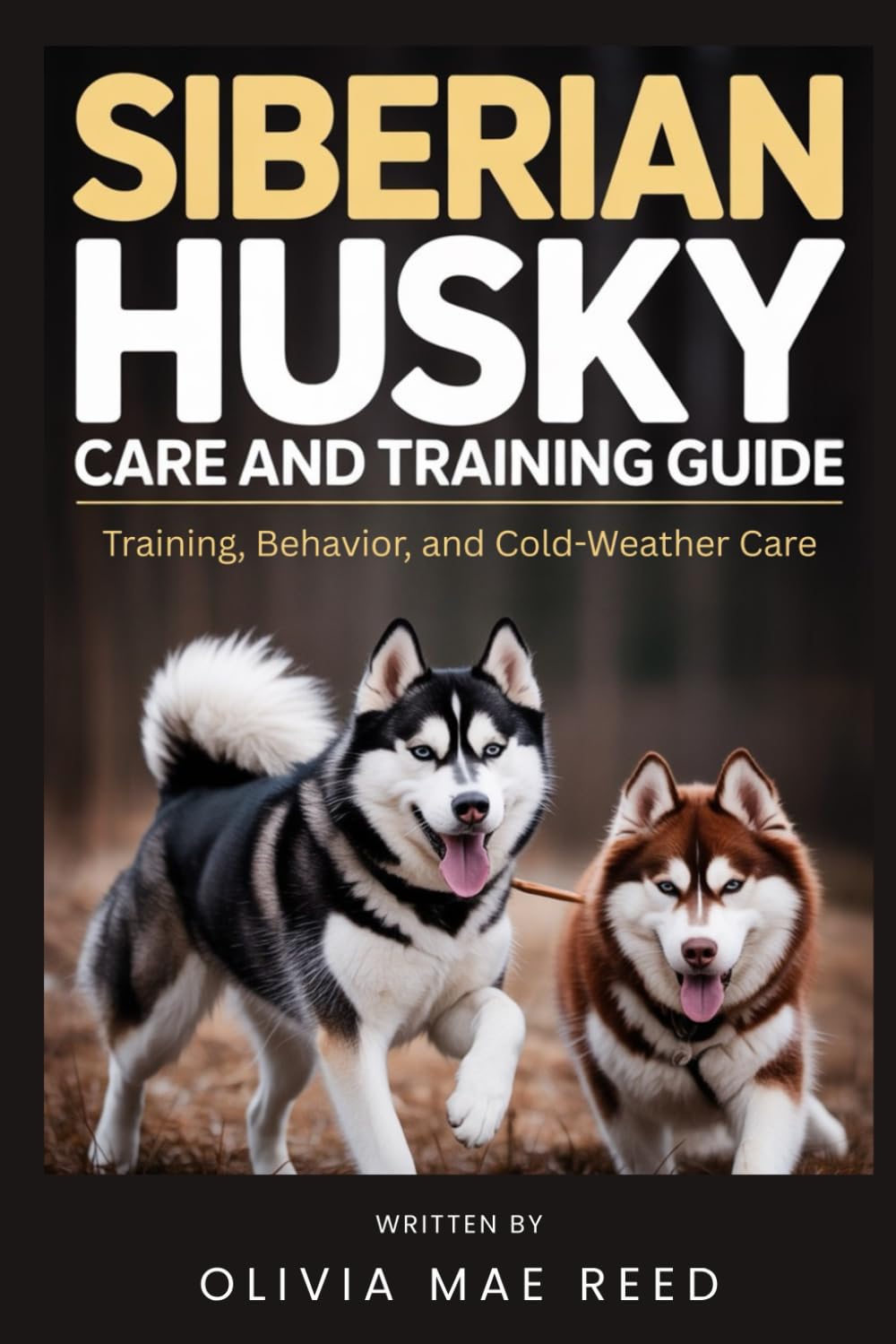 Siberian Husky Care and Training Guide: Training, Behavior, and Cold-Weather Care