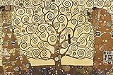 Tamaño: 91,5cm x 61cm Close Up Póster de Gustav Klimt Tree of Life/El árbol de la Vida (91,5cm x 61cm) + 2 Marcos Transparentes con suspención