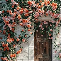 ROSE☆ROSE Mandarin X-Pression - Rio Roses