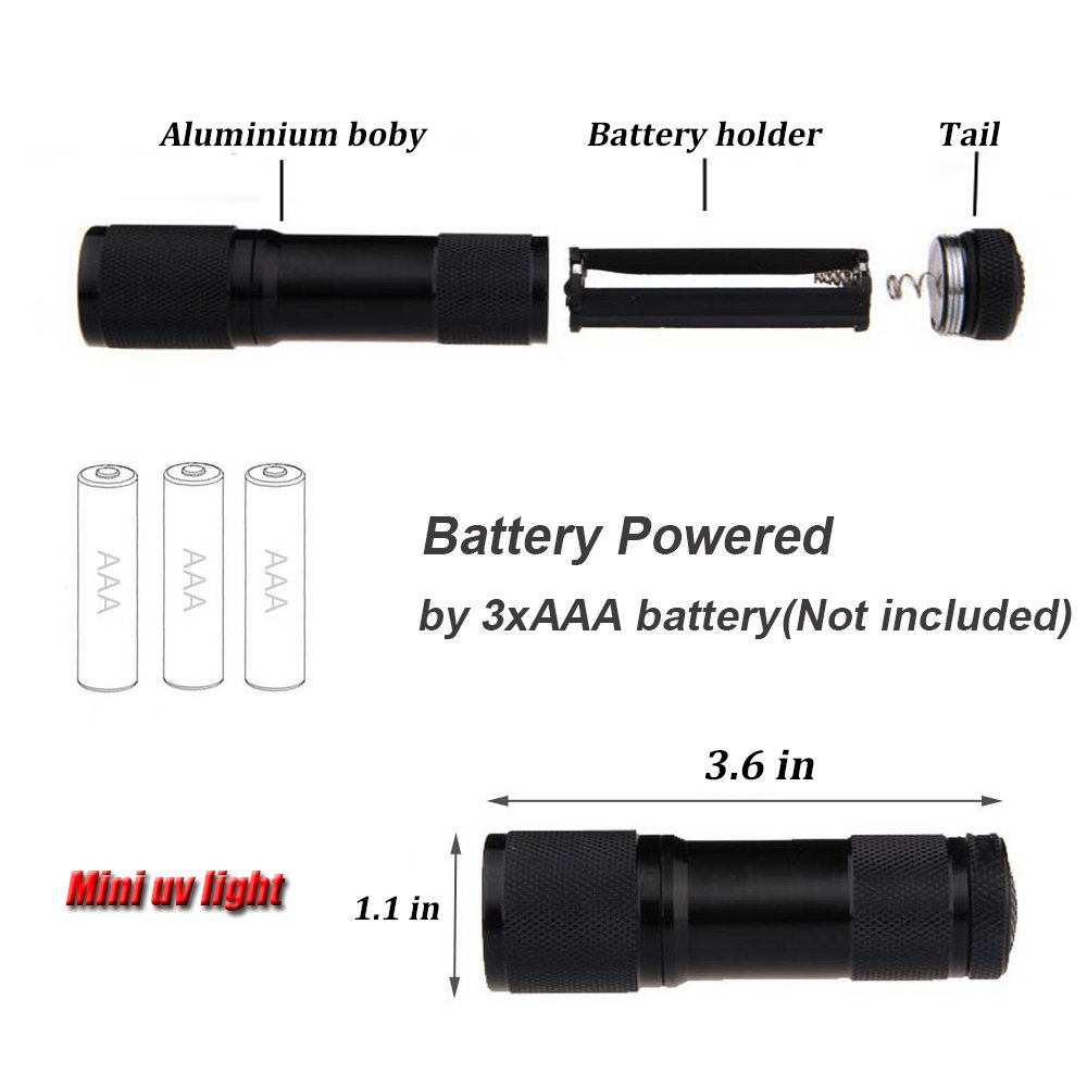 POCKETMAN Torcia UV LED 395nm - Ultra Violet Flashlight/Blacklight - Rivelatore Macchie e Urina di Animali per Abiti, Moquette e Tappeti