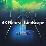 Jungle Sound Productions