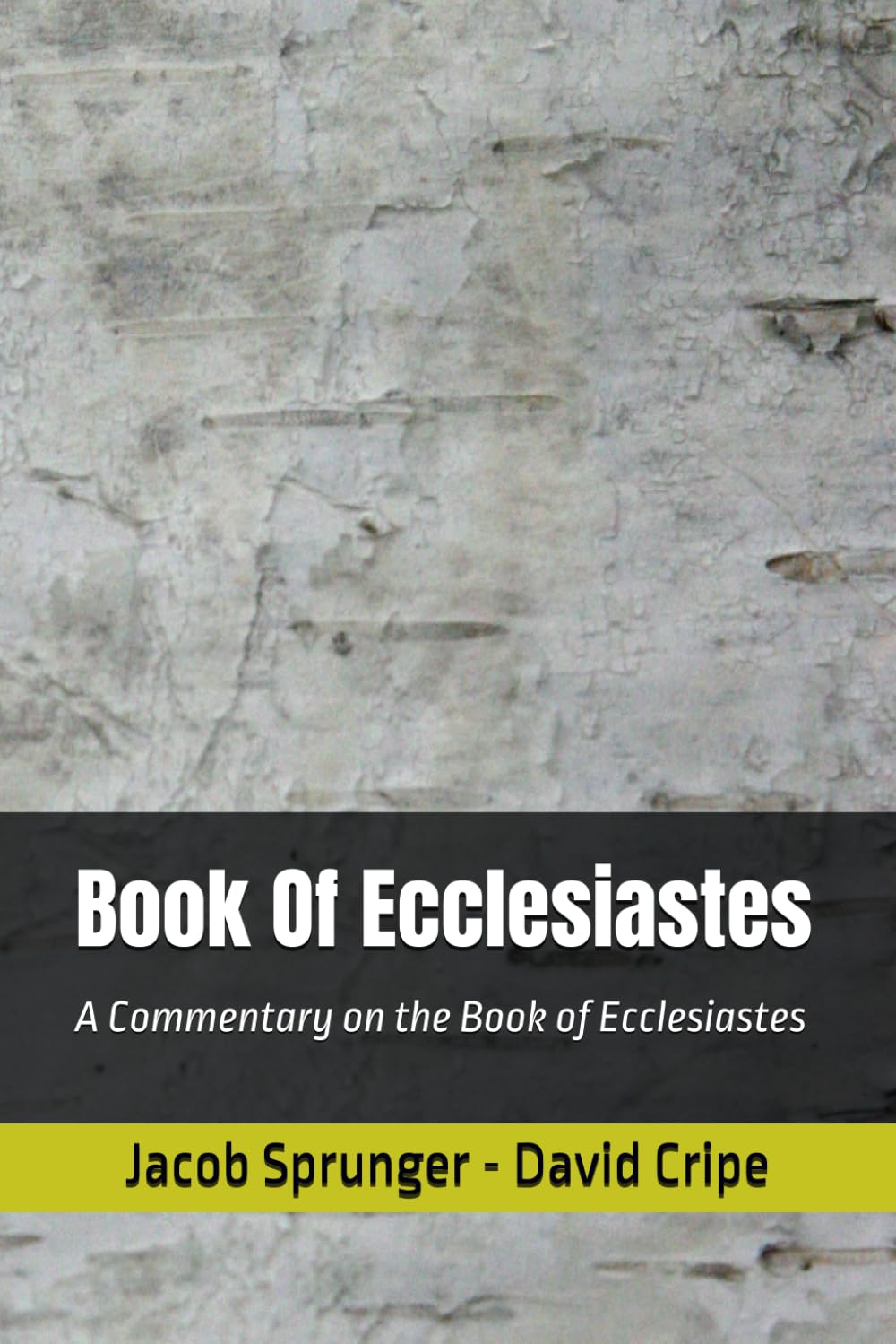 Book Of Ecclesiastes: A Commentary on the Book of Ecclesiastes