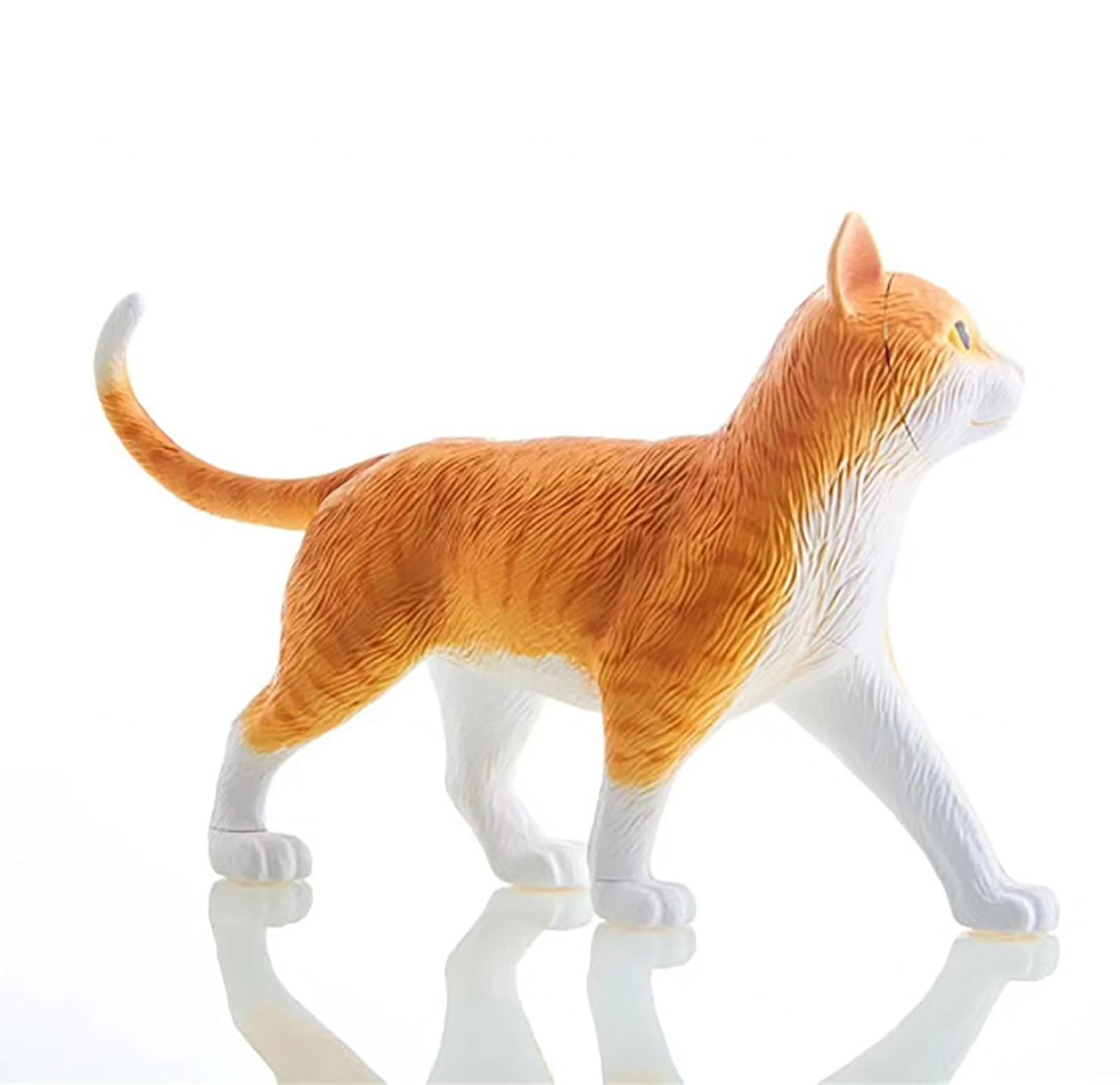 Modello Anatomico del Gatto 4D, Organi Rimovibili Modello Anatomico dello Scheletro del Gatto 28 Pezzi, Modello Medico del Gatto, per Gli Aiuti Didattici per L'educazione Medica