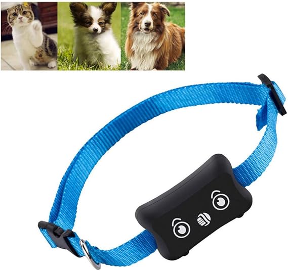 dog finder collar