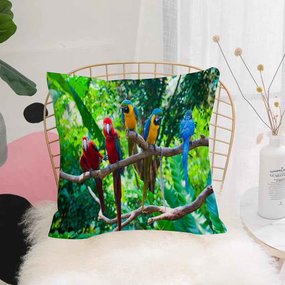 HYOSXW Cushion Cover,Throw Pillow Case Home Decorative for Living Room Bedroom Sofa Chair 16X16 Inch,large tropical American parrots a few macaws in red yellow blue are standing on,Pillowcase 40X40cm