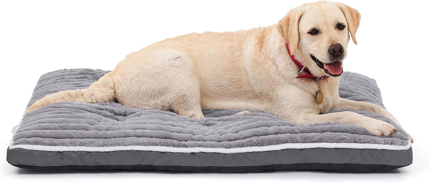 Cuccia Cane Grande: Letto per Cani Lavabile – (106 x 70 x 7 cm) | Tessuto in Morbido Peluche – Base Antiscivolo – Ideale per il soggiorno, la gabbia, il bagagliaio dell'auto Grigio