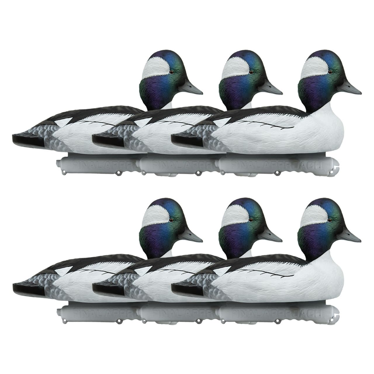 Final Approach Live Bufflehead Floating Duck Decoys, 6 Pack