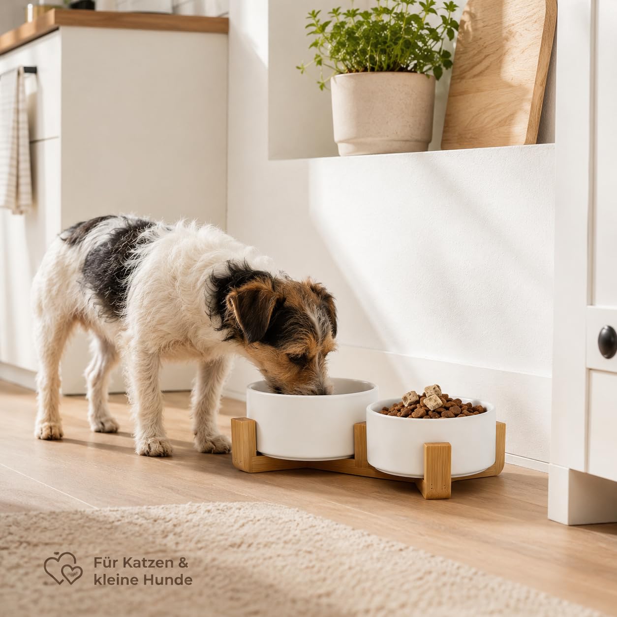 Ceramiczna miska na karmę dla kotów 2 x 850 ml, zestaw 2 szt. z podwyższonym stojakiem bambusowym | Białe miski z gładką glazurą, nie zawierają ołowiu i kadmu, do suchej karmy, wody, małych psów, kuchni i salonu