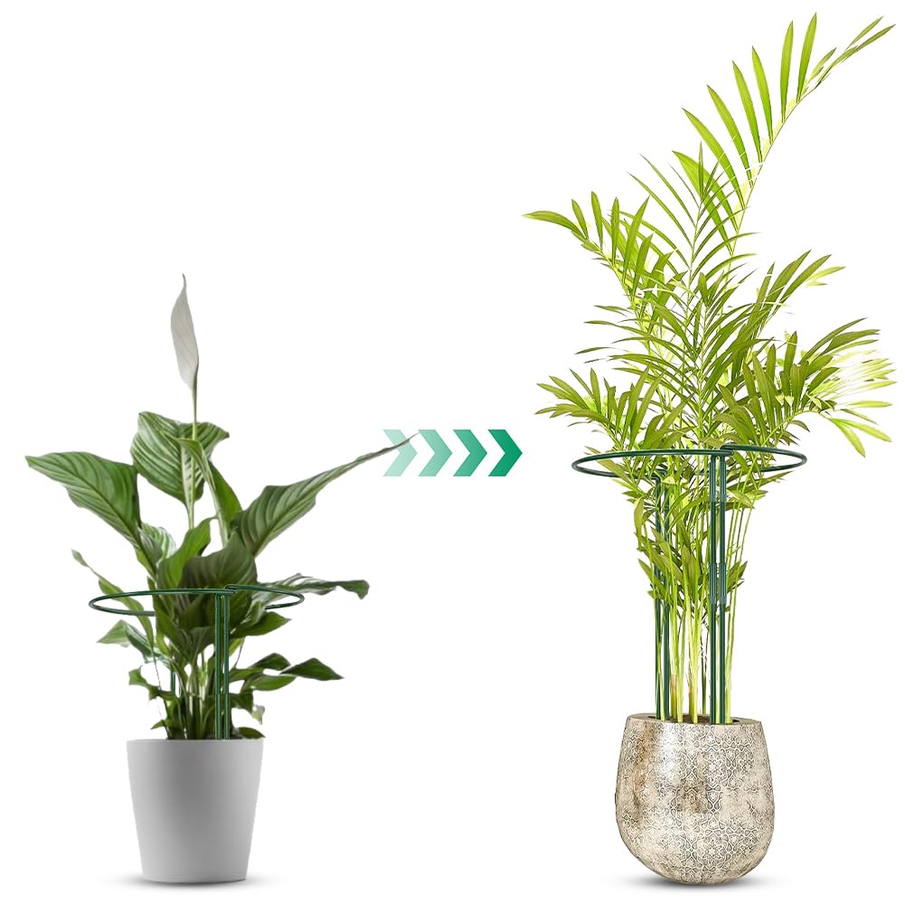 OFFCUP Pałki podtrzymujące rośliny, 6 szt., 20 x 35 cm, metalowe wsporniki ogrodowe, półokrągła klatka pierścieniowa do warzyw, pomidorów, piwonii, róż, hortensji, kwiatów