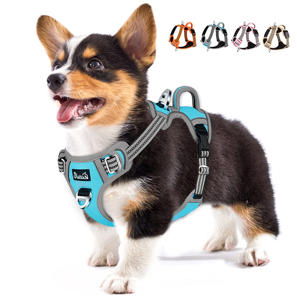 LukoveeNo Pull Dog Harness, No Choke Adjustable Dog Harness with 2 Leash Clips and Easy Control Vertical Handle, Soft Padded Dog Vest for Medium and Large Dogs (Medium, Blue)