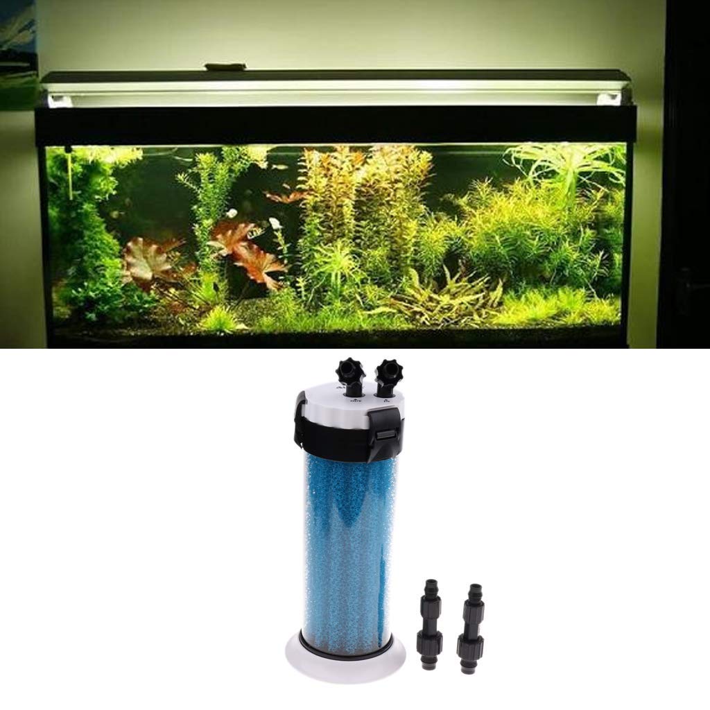 Préfiltre d'aquarium - Éponge externe - Outil de nettoyage pour terrarium et aquarium