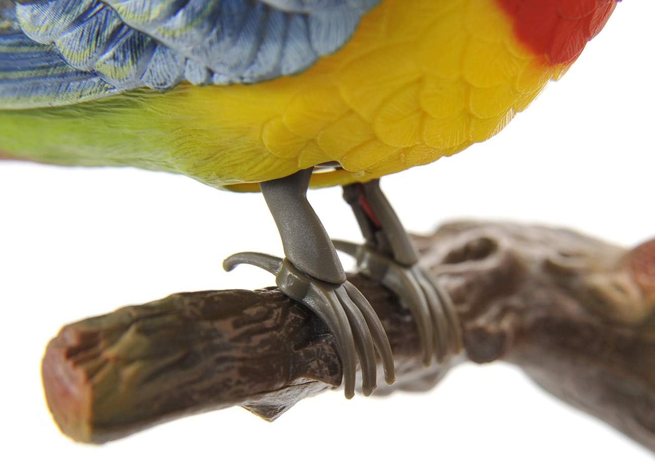 AZ Trading & Import BC514A Singing & Chipping Bird Wall Mount image 2
