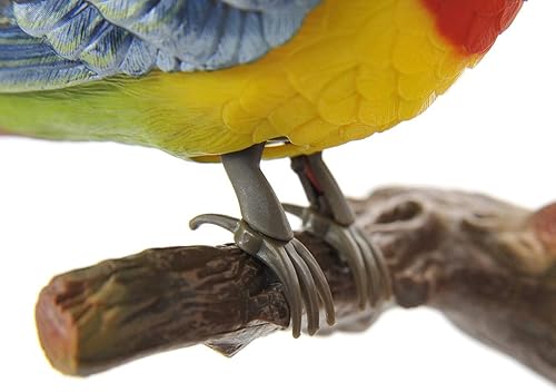 Miniatura 2 de AZ Trading & Import BC514A Soporte de pared para pájaros cantando y astillando