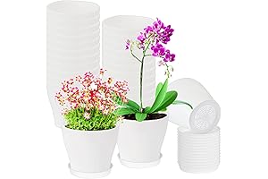 Adorable Small Flower Pots for Budding Green Thumbs