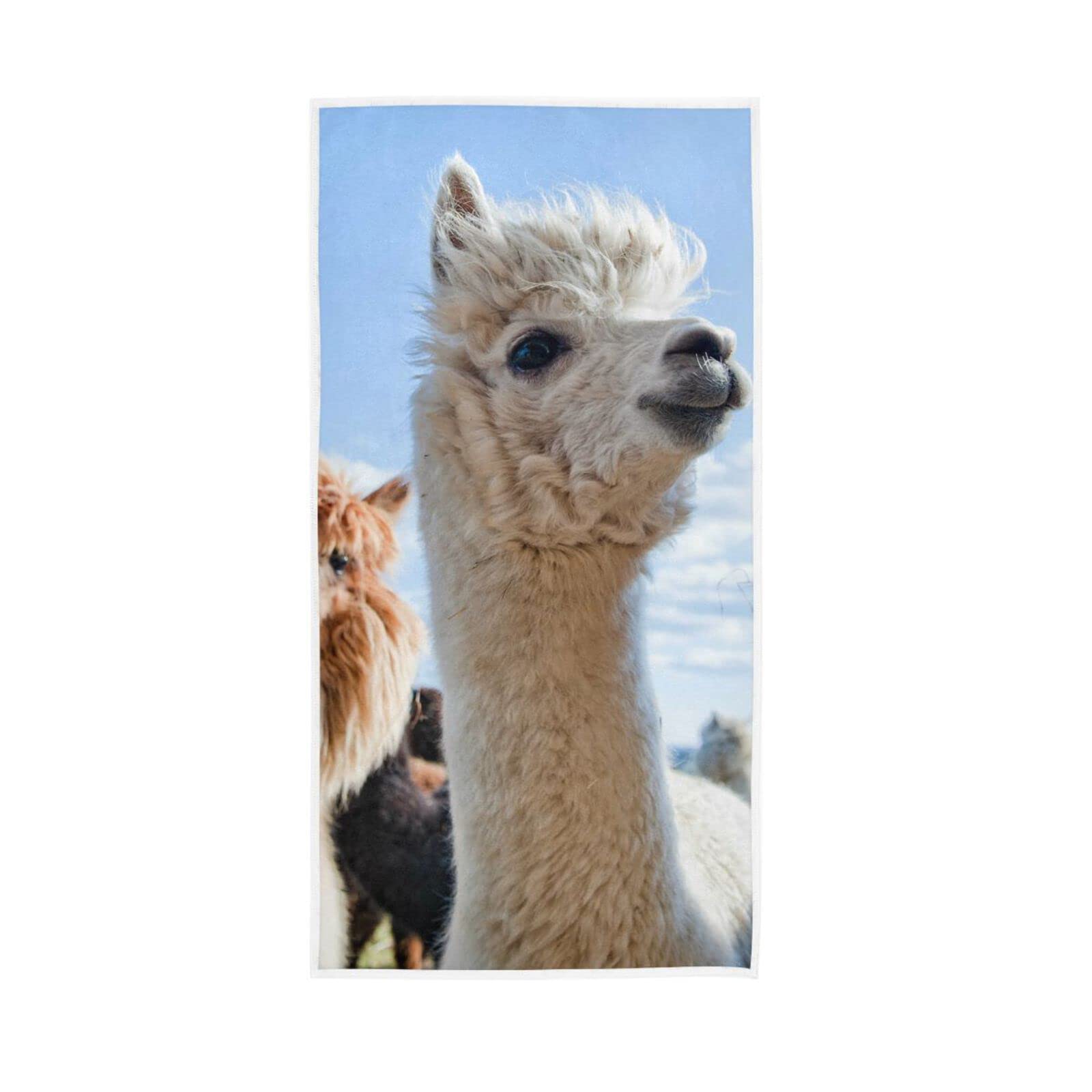 HUYGD Hand Towels Cute Lama Llama Alpaca Decor Fingertip Soft Face Towel Absorbent Bathroom Kitchen Towels