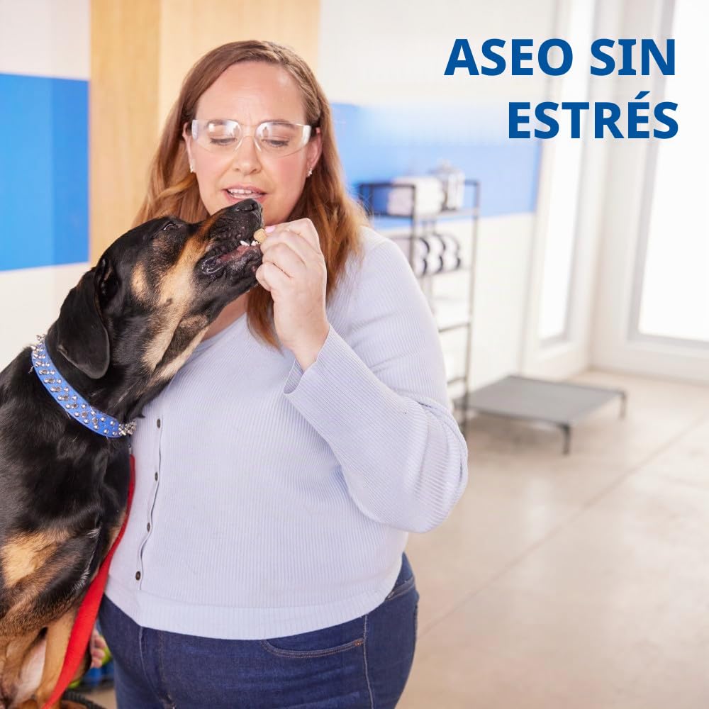 Dremel PawControl 7760-PET - Molinillo y recortador de uñas para perros, kit de herramientas de aseo inalámbrico y recargable para mascotas, seguro para perros, gatos y animales pequeños (exclusivo de