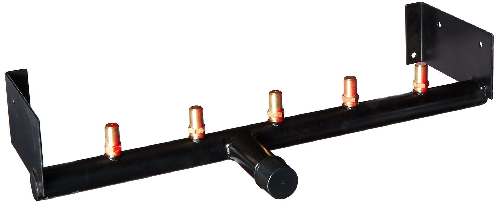 Buy Pentair 472026 Standard Propane Manifold Assembly Replacement