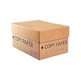 Staples Printer Paper, 92 Brightness, 20 Lbs, 8.5 x 11 Inch, 5000-Sheets Total, 10-Reams, White