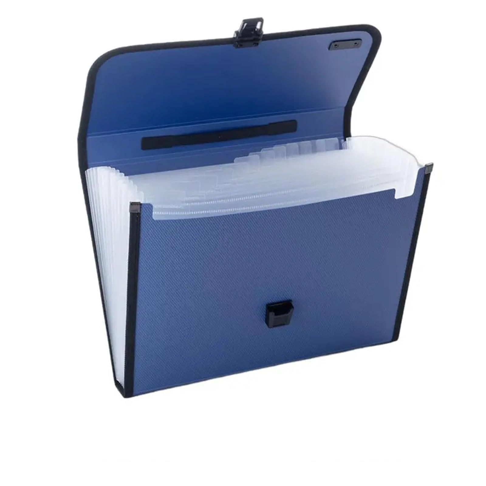Cartella di file espandibile da 2 pezzi 12 tasche Organizzatore a fisarmonica con etichette, organizzatore portatile ricevute documenti for formato lettera A4