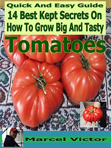 How to make big tasty sauce How to make big tasty sauce