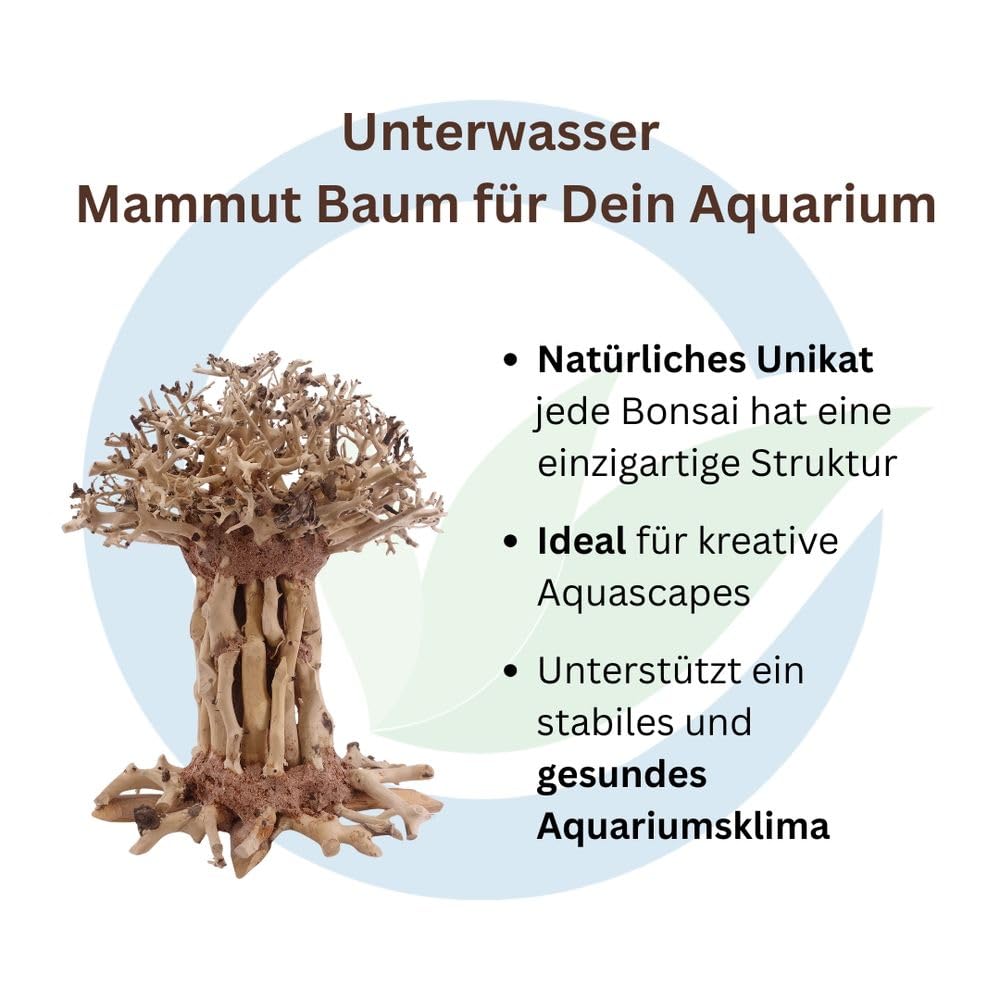 AquaOne Aquarium Bonsai Mammut Baum L Wurzel Oriental Holz 15x10x20 cm I Aquascaping Dekoration I Natur Unikat Bonsaibaum I Landschaft Deko Unterwasserlandschaft
