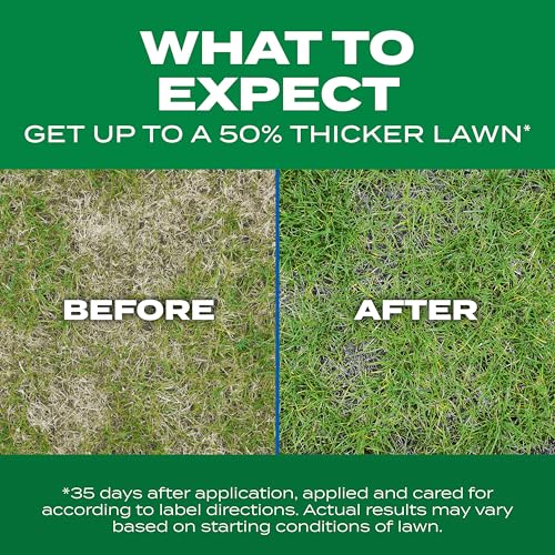 Scotts Turf Builder Thick'r Lawn Sun & Shade, 10 lbs. - image 7