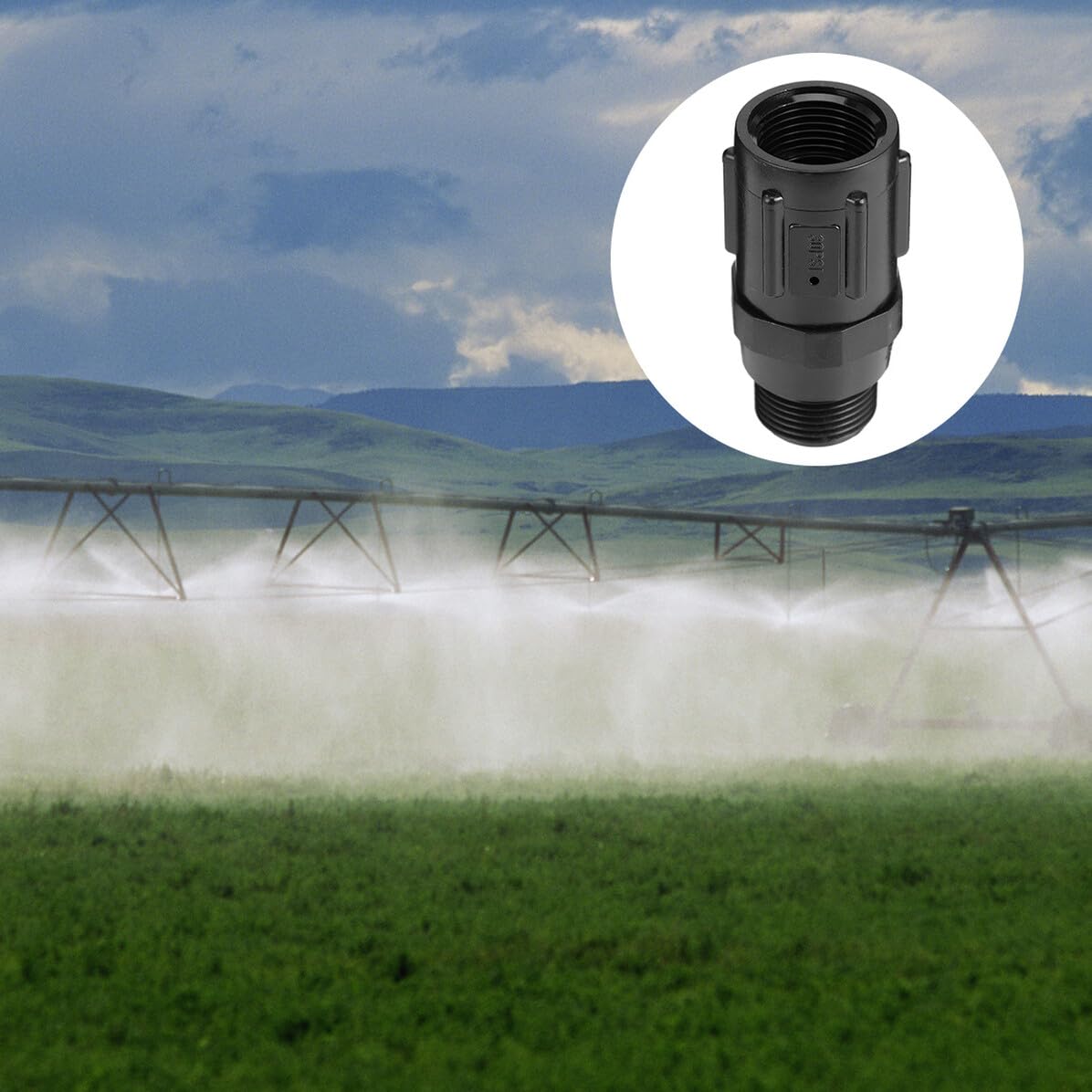 Régulateur de Pression Irrigation en Plastique 30 Psi 3/4 Pouce Noir