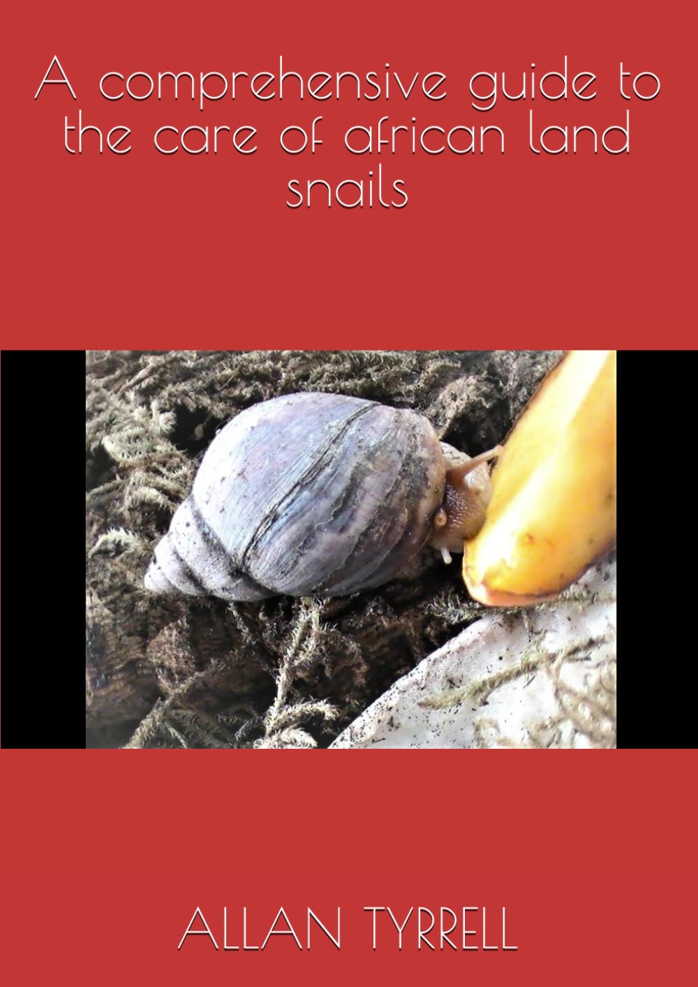 A comprehensive guide to the care of african land snails