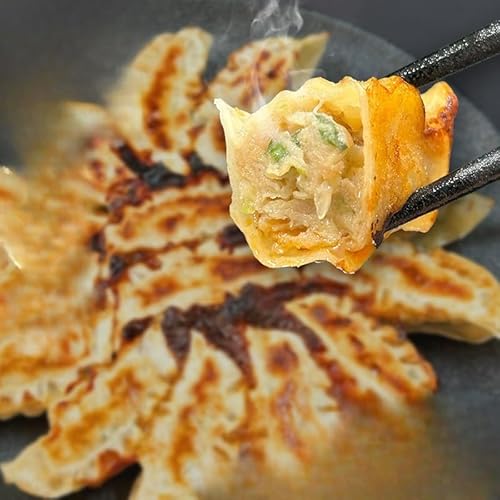 鹿児島直送黒豚の冷凍餃子 96個(タレ・レシピ付き)[gnkt0002]