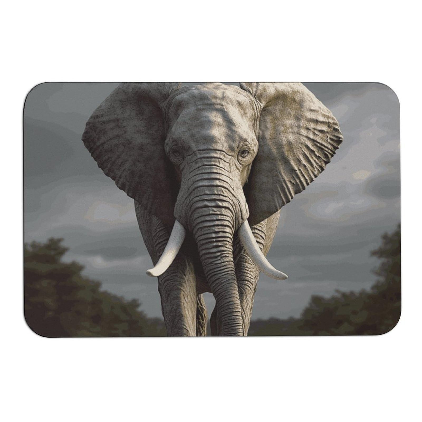 Tapis de bain 3D éléphant 60x40 cm absorbant et antidérapant
