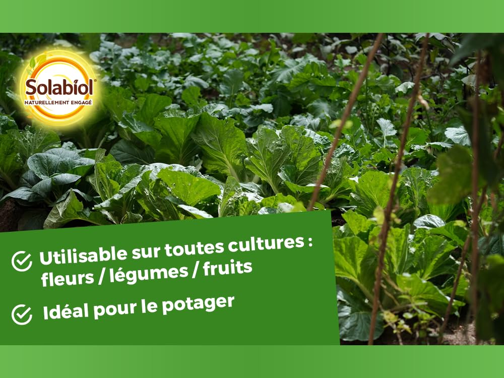 SOLABIOL Engrais Bleu Universel - 4Kg - Jusqu'à 50m² - Croissance Rapide & Nutrition Longue Durée - Renforce La Résistance A La Sécheresse - Utilisable En Agriculture Biologique SOBLEU4